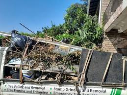 Best Shed Removal  in Rosemount, MN