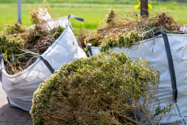 Best Same-Day Junk Removal Services  in Rosemount, MN